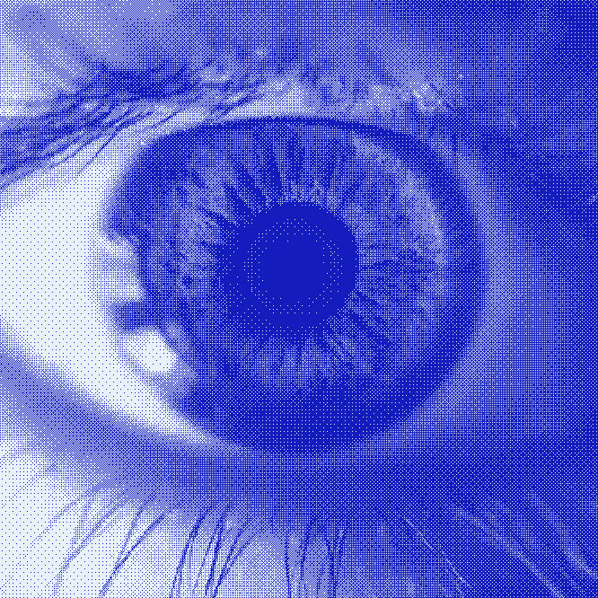 eye